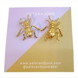 Revolve NWT Peter + June Raw Brass Spider Insect Earrings